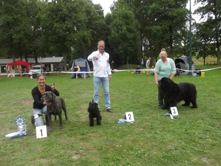 01-09-2013 KC Zoetermeer BOB - 2e Best in Group
